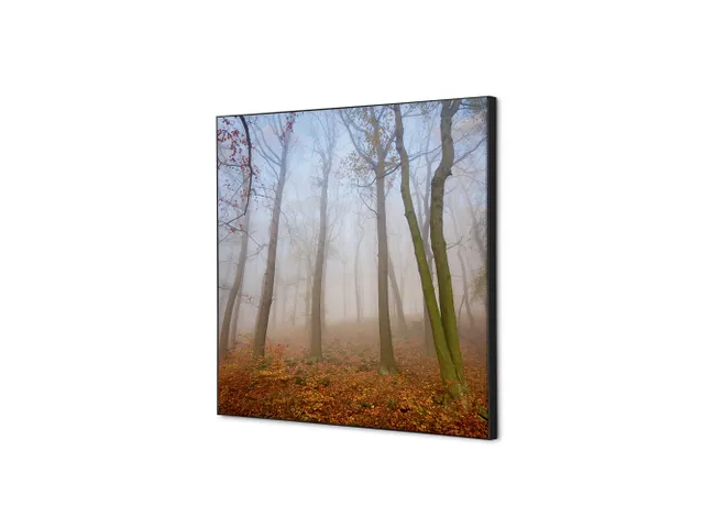 Wanddecoratie Textiel Set 40x40cm Herfst Mist