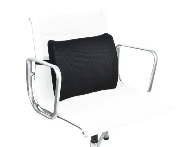 Ergonomische Rugsteun Vleugelvormig Stevig Mesh stof-schuim 70 mm dik