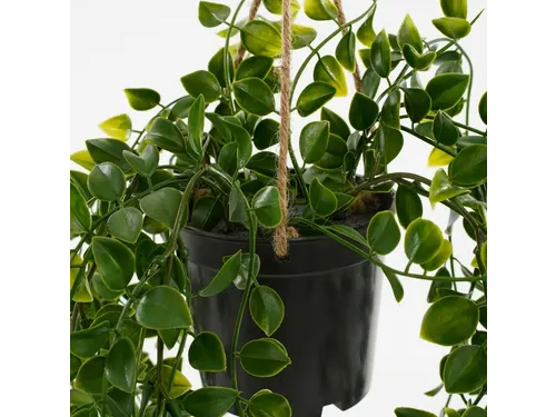 Kunstplant Mica Ficus hangend in pot groen 20x46cm