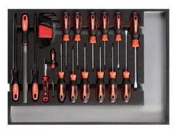 R22350002 Gereedschapsset schroevendraaier + vijlen CT-module 26-delig