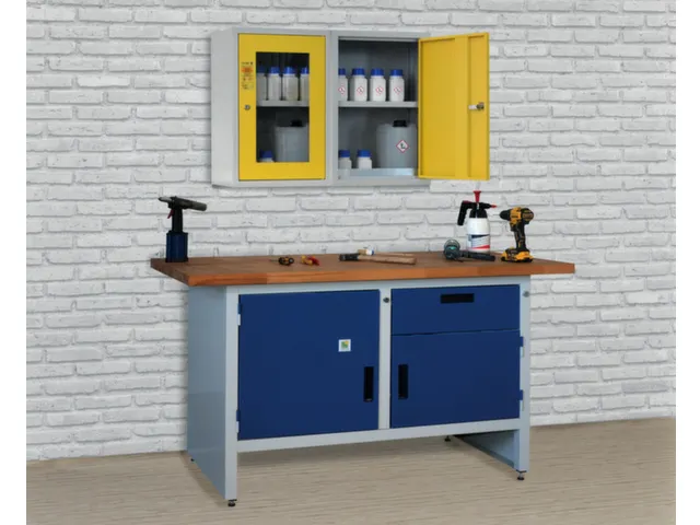 milieu-wandkast,v. aquatox. stoffen,HxBxD 600x400x300mm