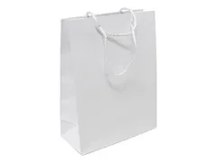 Draagtas wit papier met koord 22x10x29cm luxe (100 stuks)