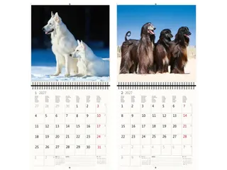 Kalender 2027 Helma 365 30x30cm honden - 4