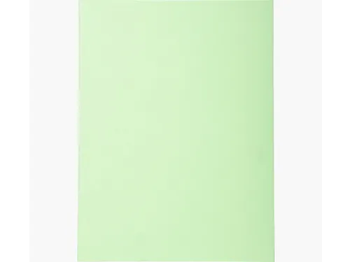 Vouwmap Exacompta Forever A4 170gr grasgroen