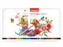 Crayon de couleur Bruynzeel Expression boîte 72 couleurs