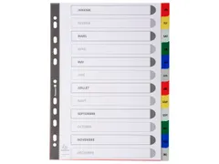 Bedrukte Tabbladen A4 12-delig Jan-dec 11-gaats Frans Assorti