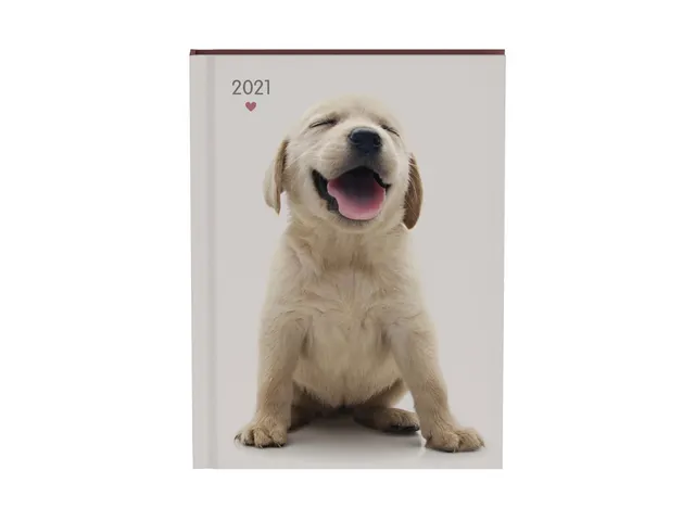 Agenda 2021 my favourite friends dogs