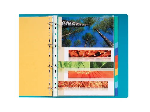 Tabbladen glanskarton 225g 12-delig A4 maxi Assorti