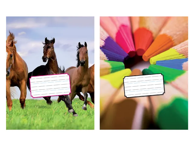 Schrift Kangaro 165x210mm schoonschrijven 72 pagina's 80gr