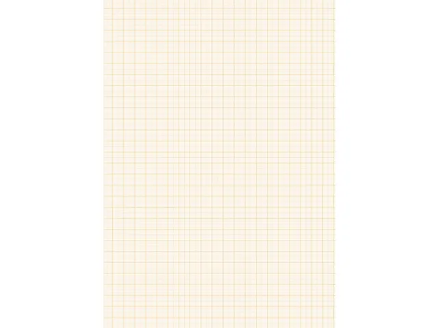 Millimeterblok Kangaro A4 blok à 25 vel