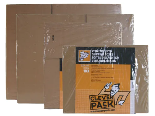 Amerikaanse vouwdoos CleverPack 305x220x250mm B-golf bruin 30 stuks
