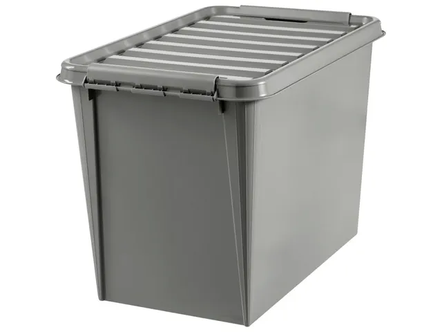 SmartStore Recycled 65 Opbergbox 61 Liter Orthex