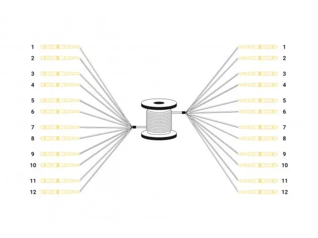 Glasvezel Breakout-kabel 12 vezels SM OS2 LC/UPC-LC/UPC Universeel 150