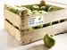 HERMA 10911 Power Etiketten A4 210x297mm Wit 25 stuks
