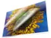 Pochette de plastification Kangaro A3 100 micron 100 flles