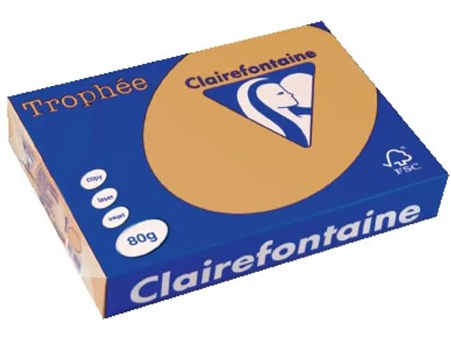 Trophée Pastel gekleurd papier A4 80 gram 500vel Caramel bruin