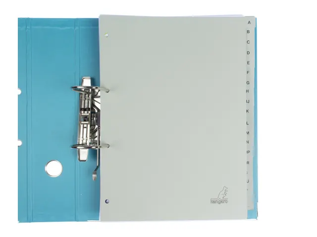 Tabblad ECO Kangaro A4 letters 180 grams grijs karton 4-gaats 20-delig