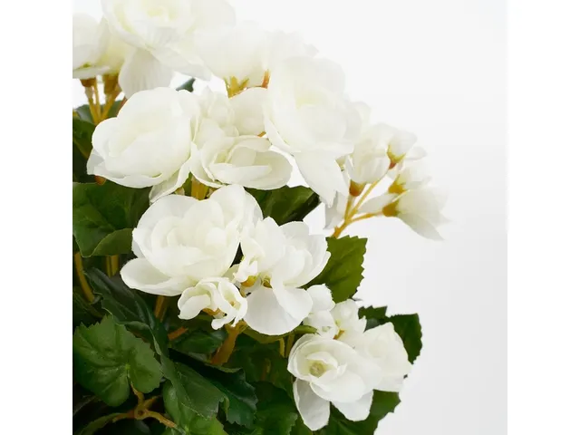 Kunstplant Mica Begonia wit in pot Stan grijs 25x30cm