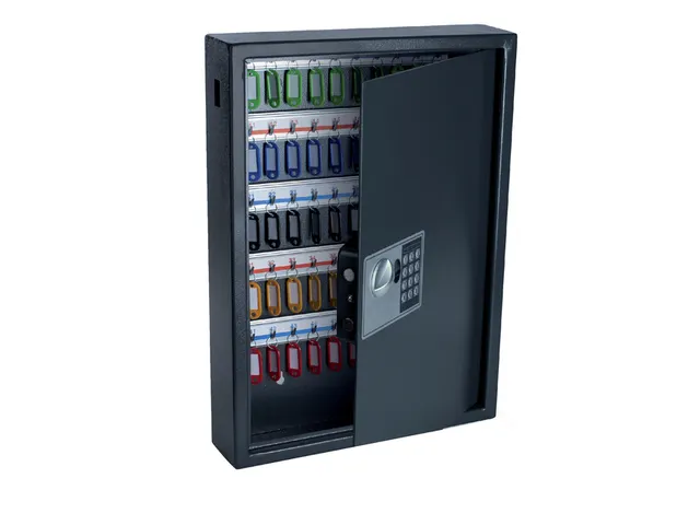 Sleutelkast Pavo high security 100 haken 550x400x120mm elektronisch