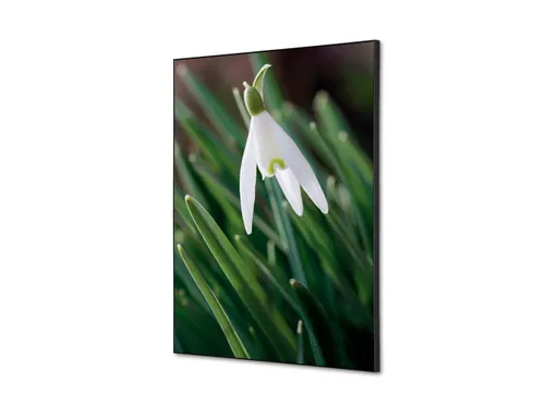 Wanddecoratie Textiel Set A2 Witte Bloem Sneeuwklokje