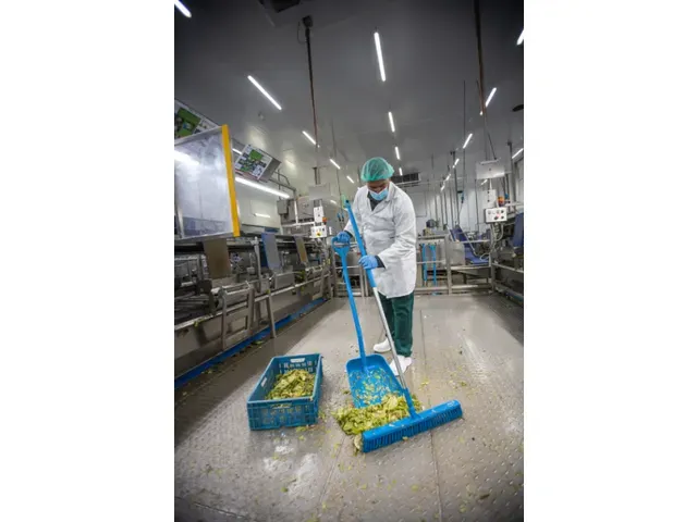 Vikan Hygiene combiveger hard/zachte vezels 610mm paars
