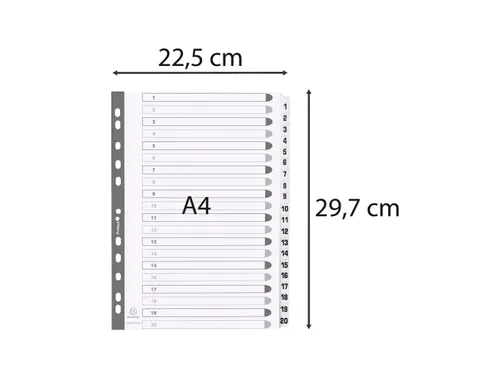 Bedrukte tabbladen Karton geplastificeerde tabs 20-delig 1-20 A4 Wit