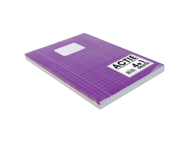 Schrift Verhaaktrend A4 80Blz Ruit 10Mm Assorti