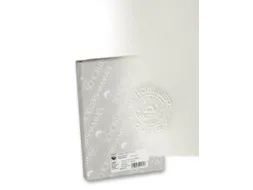Tekenpapier Duria mat 35x50 150g/m2 200 vel VF5003293