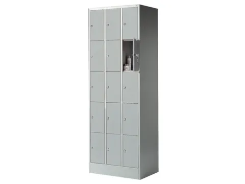 lockerkast,HxBxD 1950x680x480mm,3x5vakken,romp RAL7035,front RAL7035