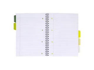 Projectboek Pukka Pad Recycled A4 lijn 5-tabs 4-gaats 200 pagina's 80g - 3