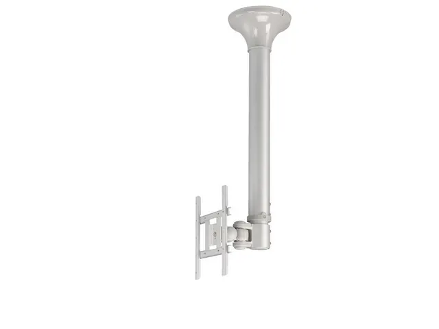 Plafondsteun Neomounts Fpma-c200 Flatscreen 10-37 Inch Zwart