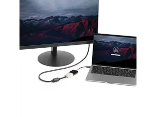 USB-C naar DVI adapter Full HD video converter voor DVI-schermen - 6