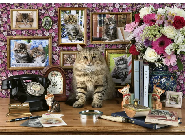 Puzzel Ravensburger Mijn katjes 1000 stukjes
