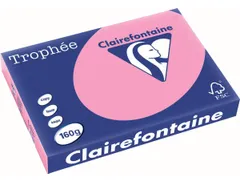 Trophée Pastel A3 160g 250 vel felroze