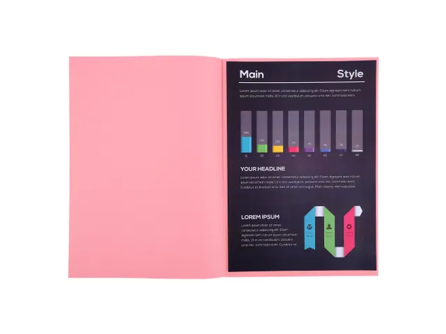 PK 250 dossiermappen FOREVER 60 Roze