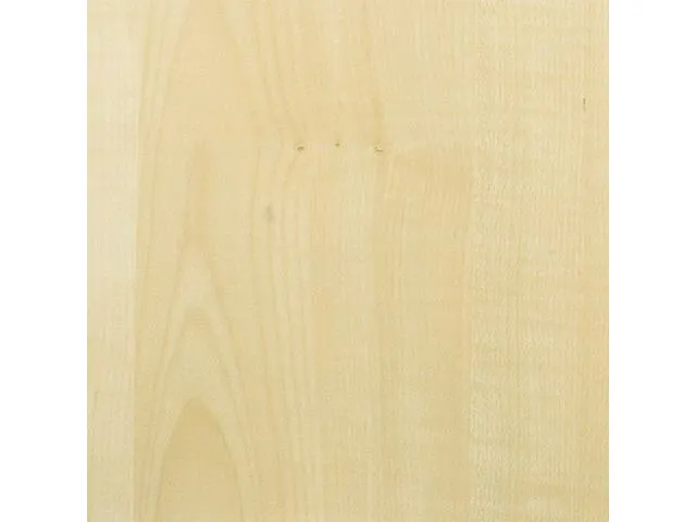 vergadertafel HxBxD 72x120x80cm rechthoekig Esdoorn 4voeten Alu
