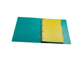 Tabbladen PP FOREVER YOUNG A4 10 tabs - 8
