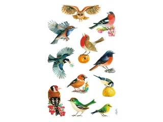 papieretiket Z-design Creative pakje a 3 vel vogels - 2