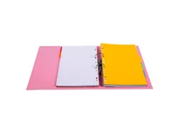 Ordner PVC Prem'Touch A4 50 mm roze