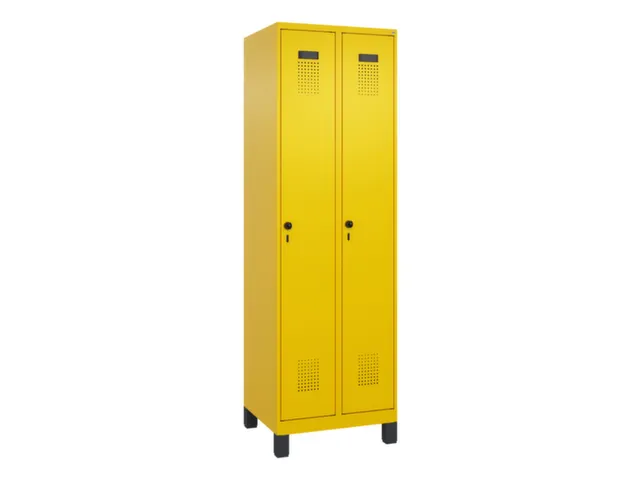 locker voor scheiding van kleding,HxBxD 1950x600x500mm,2vak