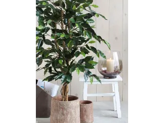 Kunstplant Mica Ficus groen in pot 85x150cm - 12