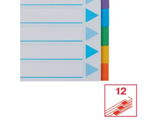 Tabbladen Esselte A4 11-Gaats Karton 12-Delig Assorti - 5