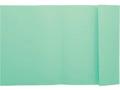 Exacompta Dossiermap A4 Jura 250 Groen