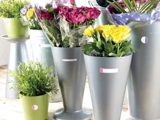 Lamineer Etiket Fluo Assorti 24 stuks - 4