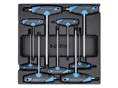 GEDORE 1500 ES-DT 2142 Inbussleutelset in 2/3 ES module