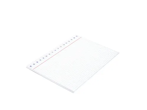 Ringbandinterieur Multo A5 17r ruit 5mm 90 grams 50 vel