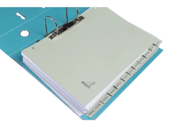 Tabblad ECO Kangaro A4 letters 180 grams grijs karton 4-gaats 12-delig