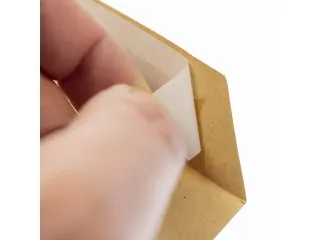 Envelop Raadhuis 229x324mm C4 akte plakstrip kraft 110gr 250 stuks in - 4