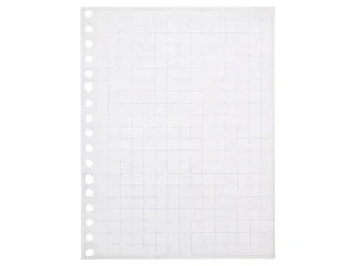 Ringbandinterieur Kangaro A5 ruit 10mm 17-gaats 60 grams 100 blad - 2