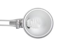 Spaarlamp Maulrock Zilver